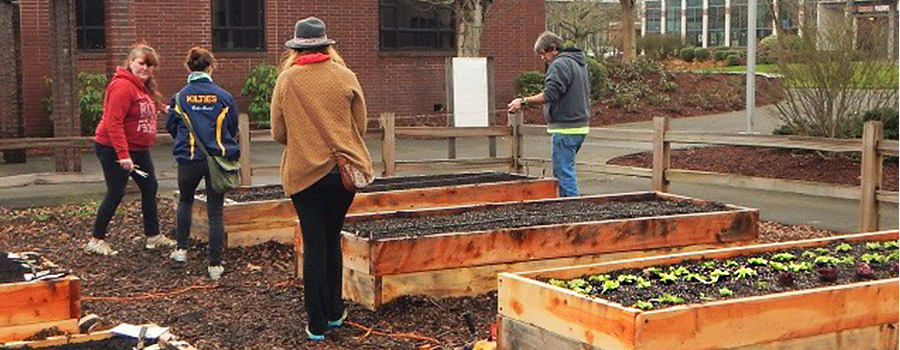 Richard Kelley Learning & Healing Garden