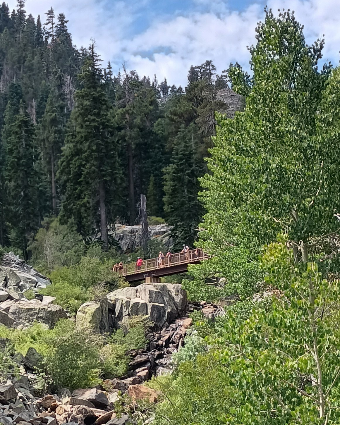 the eagle falls bridge in the distance with a stream frunning beneath it and trees in the forground