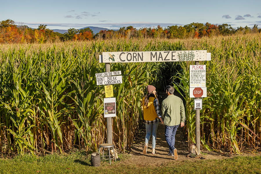a couple walking into a corn maze with a tall sign a the entrance