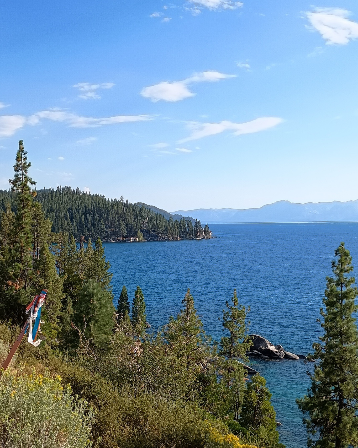 a photo of Lake tahoe with trees and bonsai rock