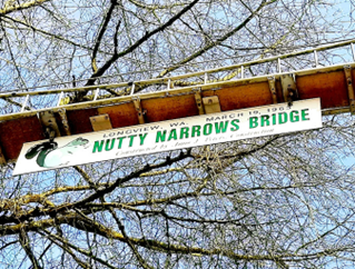 Nutty Narrows Bridge on a sunny day