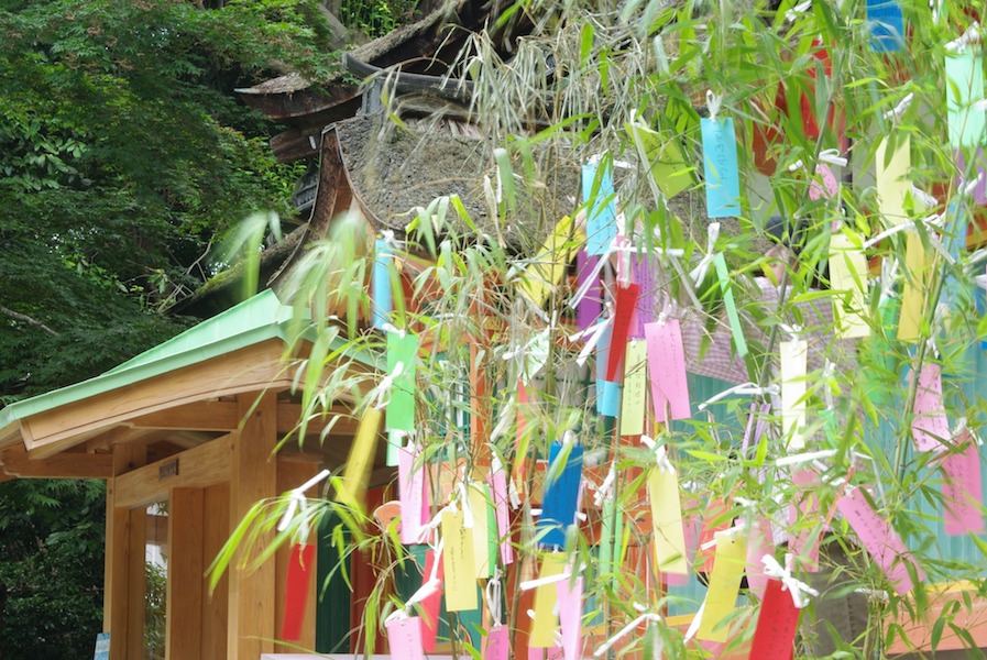 Small colorful pieces of paper called tanzaku hanging from bamboo branches