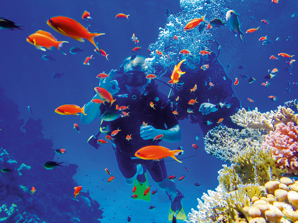 An underwater photograph shows two scuba divers swimming amongst a school of vibrant orange anthias fish near a coral reef. The diver in the foreground is making an "OK" hand signal, while the other diver is partially obscured behind them, both surrounded by bubbles and marine life in the clear blue ocean.
