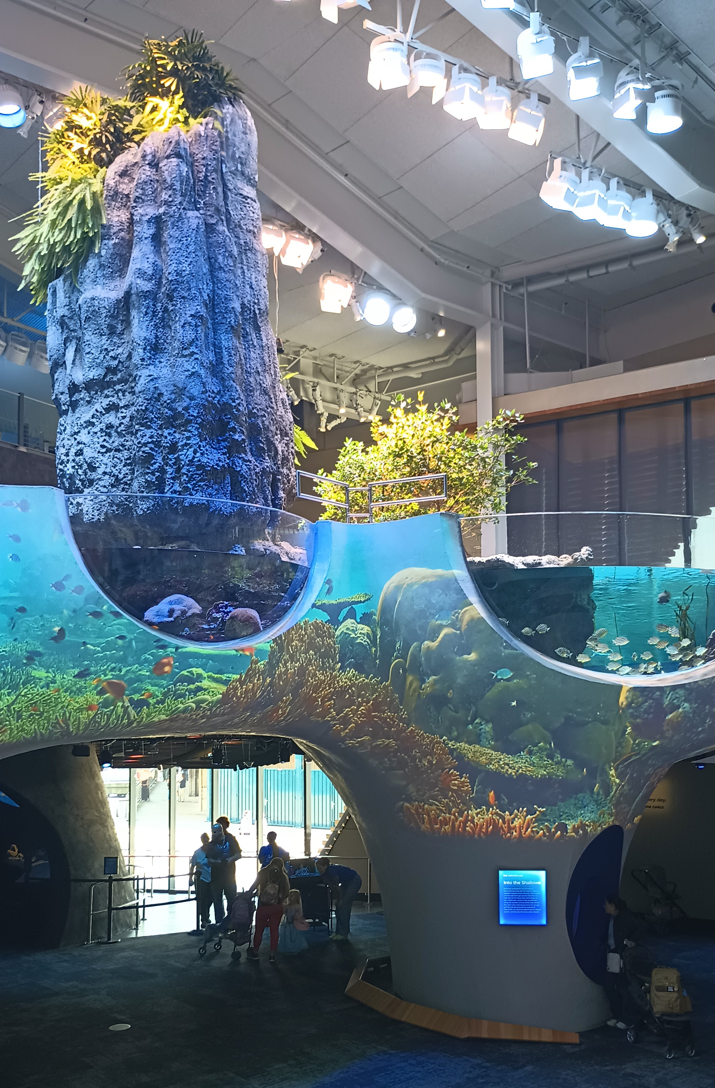 International Club Field Trip to Seattle Aquarium in Seattle, Washington