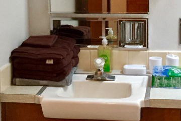 Private Bathroom Sink