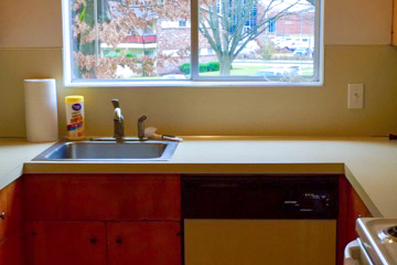 Private Kitchen Sink