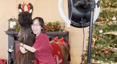 Meet Beni, the llama from Ridgefield. Beni came to support LCC students during their finals week session.