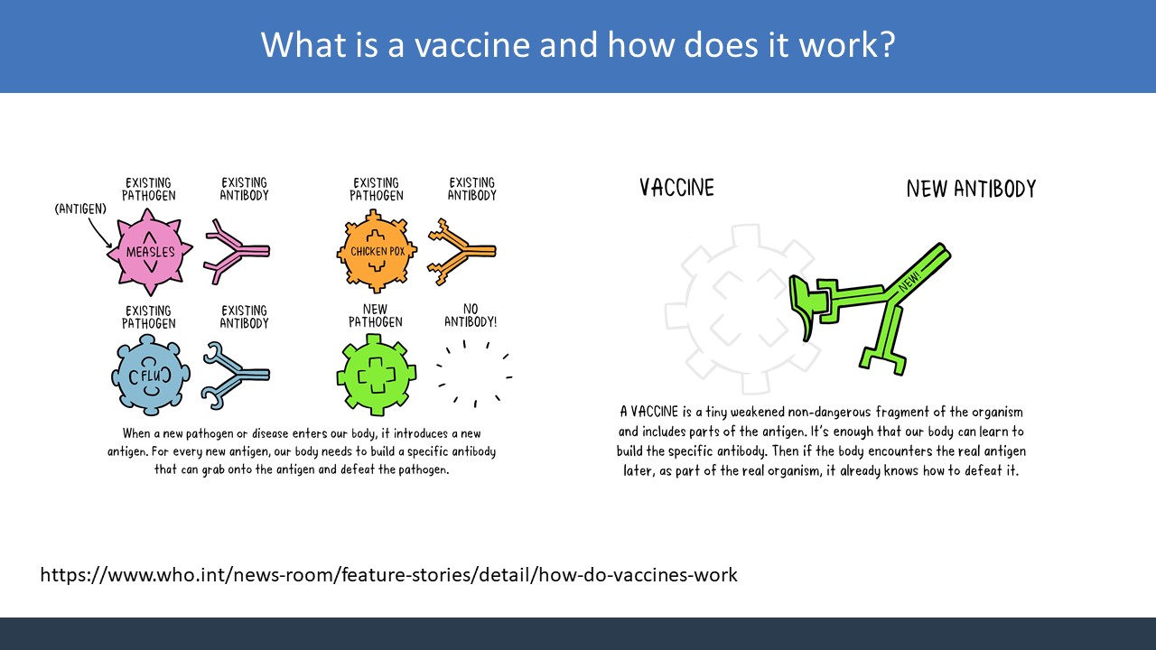 Slide 5 Covid vaccine information