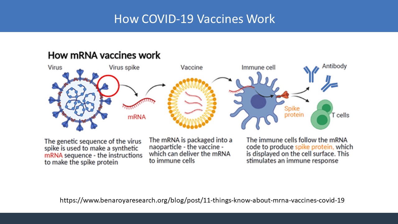 Slide 6 Covid vaccine information