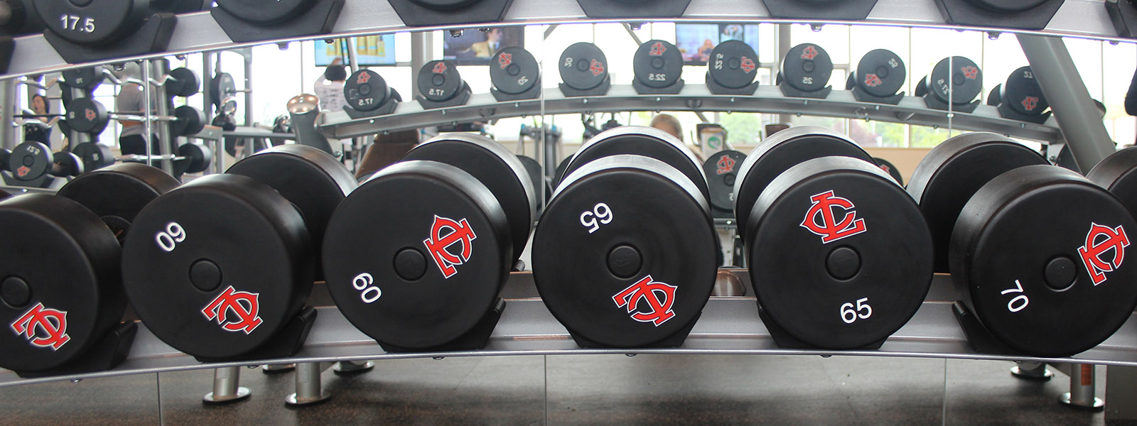 fitness center weights
